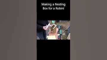 Making a Nesting Box for a Robin! 🐦 #shorts