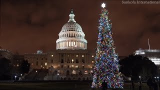 🎄 Christmas in Washington DC 🎄 | 4K