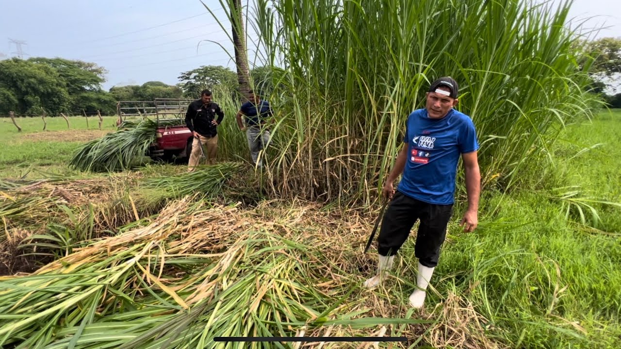 Mira la maldad que hace Miguel con David