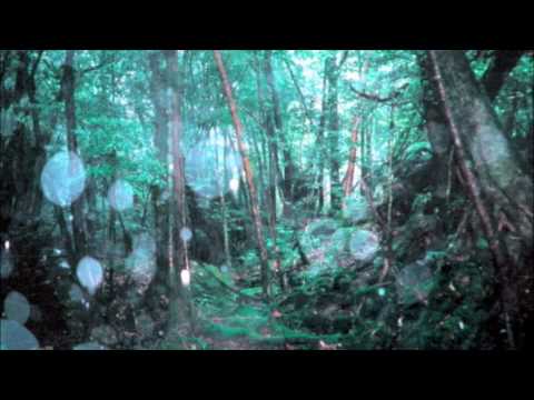 139 屋久島音楽記 木霊 Kodama Musical Log Of Yakushima Youtube