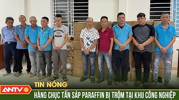 Lập nhóm trên Telegram “phân công nhiệm vụ” lấy trộm tài sản của công ty | ANTV