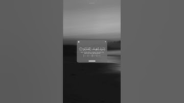 ماهر المعيقلي || سورة الضحى بصوت جميل جدا ❤️
