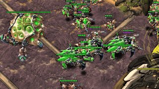 NAFASH REVIEW! Nexus Coop