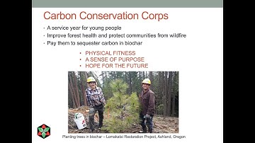 A Carbon Conservation Corps to Restore Forests with Biochar