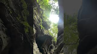 Guchu pani 🌸 #trending #viral #ytshorts #travel #guchupani #dehradun