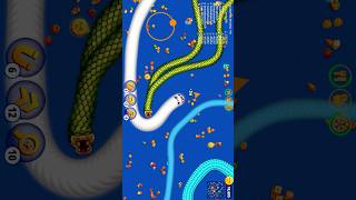 Wormszone Io snake game slither snake game #wormszone #shortsfeed #slithersnake #snakegame #shorts
