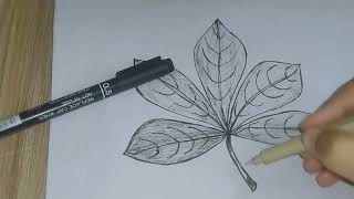 Pen Artwork ||How to draw leaves || How to do shading with pen #Leavesshading #drawing #penartwork