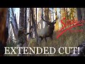 Five foot bull extended cut 4k a stalker stickbows film