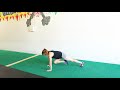 23 Mountain Climber Exercise Variations