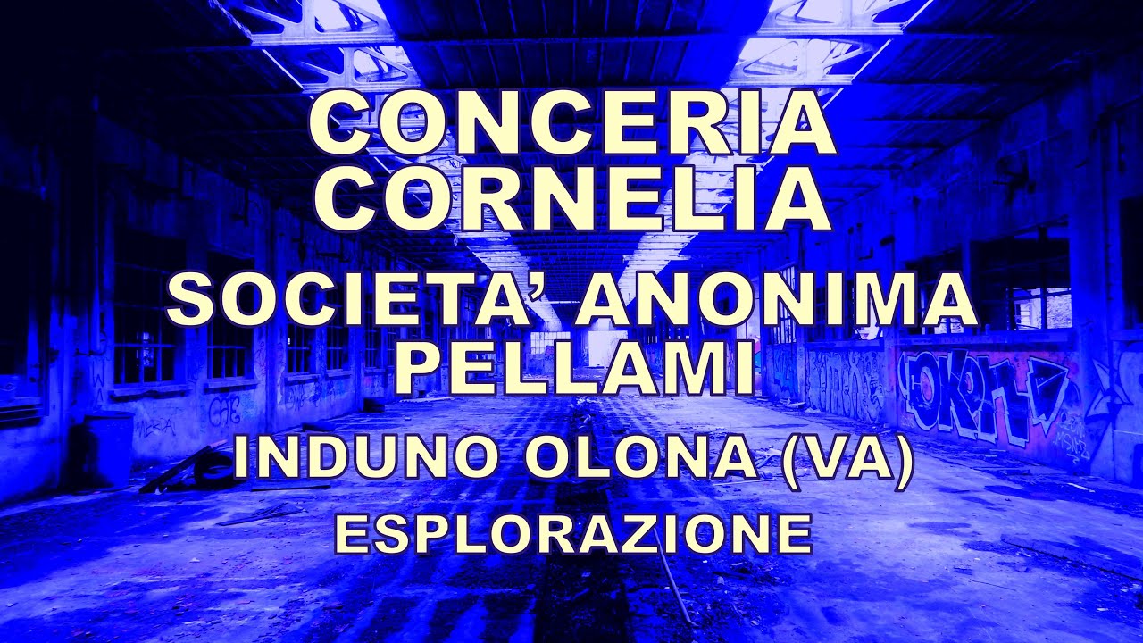 Conceria Cornelia/Società Anonima Pellami - Induno Olona (VA) - esplorazione