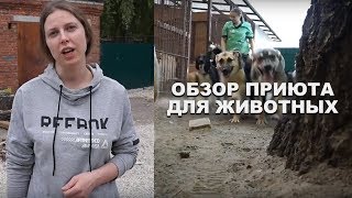 Центр животных Валента - Обзор приюта и клиники - Выпуск первый Центр животных Валента - Обзор приюта и клиники - Выпуск первый