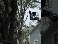 🌲🔥 Big job? Clean finish. Every time.🔥🌲 #jacksonville #treeservice #treeremoval #treetrimming #tree
