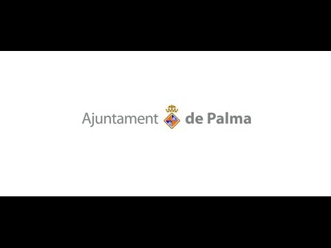 Ajuntament de Palma - Ple ordinari 26 de novembre de 2015