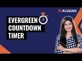 Introducing Evergreen Countdown Timer in WooCommerce by Finale