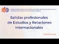 Salidas profesionales para los grados de Relaciones Internacionales o Estudios Internacionales