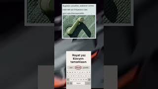 Hayat Yaz Klavyen Tamamlasın Resimi