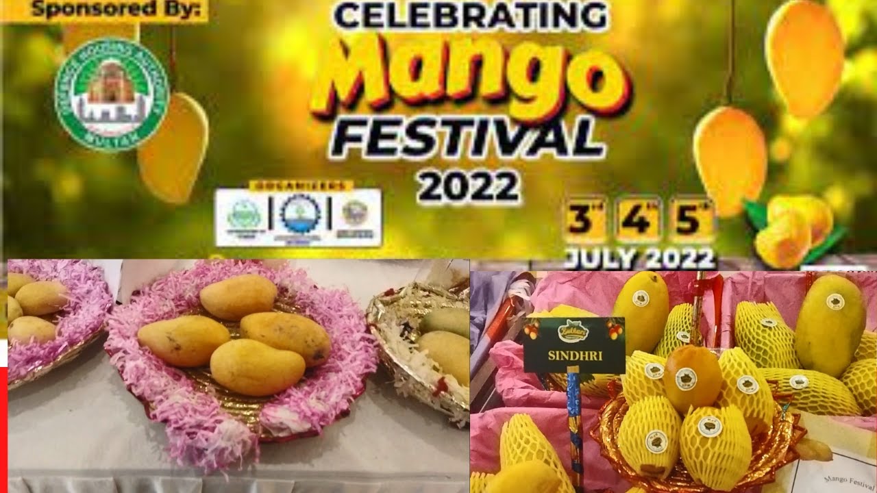 Mango Festival in Areena DHA Multan || World Famous Pakistani Mangoes ...