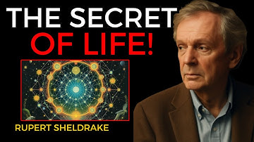 The Invisible Web Connecting All Life - Sheldrake’s Most Radical Idea | Rupert Sheldrake