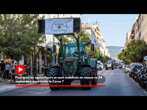 Miniature du reportage Pourquoi les agriculteurs se sont mobilisés en masse ce 24 septembre dans toute la Corse ? (Corse-Matin)