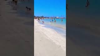 Best Beaches near Palma de Mallorca ✨🏝 Majorca Beach - S’Arenal Playa #shorts #beach #majorca