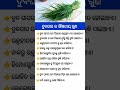 Odia gk shorts || Sadharan gyan short || Odia quiz shorts || Odia general knowledge #gkfacts #shorts