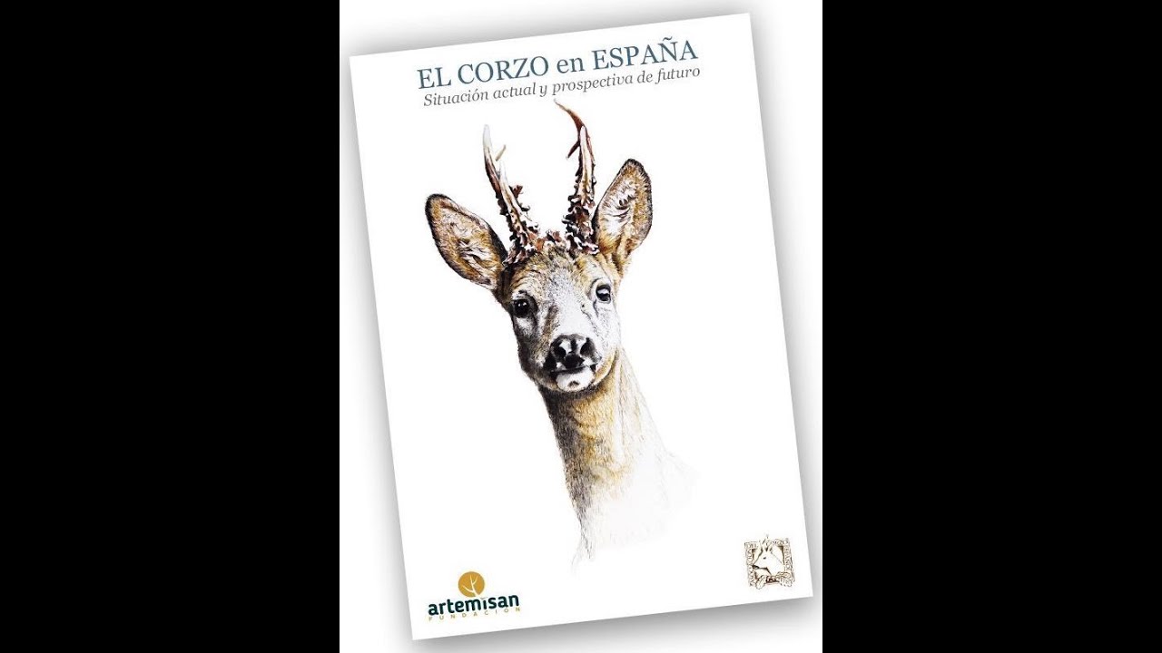 Presentación estudio y libro 'El corzo en España'