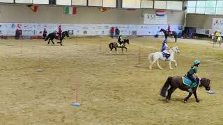 1a tappa Trofeo ludico - Pony games B2 26/3/2023 screenshot 2