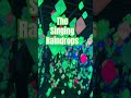 Raindrops from heaven #bibletruth #singalong #kidsmusic #rainbow #scripturesongs