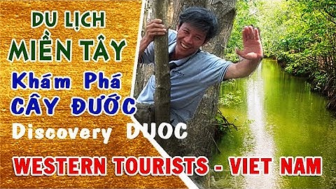 Khám Phá Rừng Đước Cà Mau | Discovery Duoc in Ca Mau Viet Nam