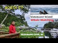 Discover Telegraph Cove, Vancouver Island - Is It the Best Place for Whale Watching? [Episode 28]