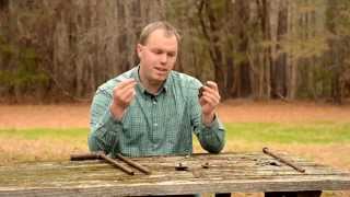 Predator Trapping - Staking Options Wealth