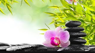 Zen Meditation Music Relaxing Music Music for Stress Relief Zen Meditation Music Relaxing Music Music for Stress Relief