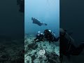 Marine Marvels is on! From stunning reefs to unforgettable dives — the adventure begins at Kadmat!