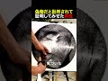 偽物だと批判されて証明してみせた男性