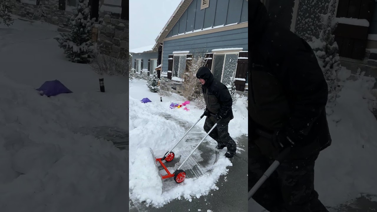 Siblings Annoys Sibling!