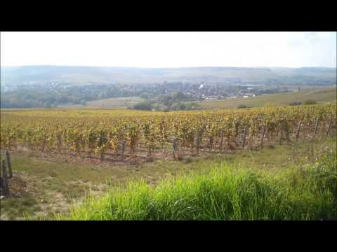 Chablis, France - Education Video