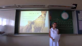 CKY 4C Iris English Project 2014