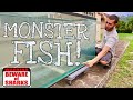 Monster FISH Tank *DIY*