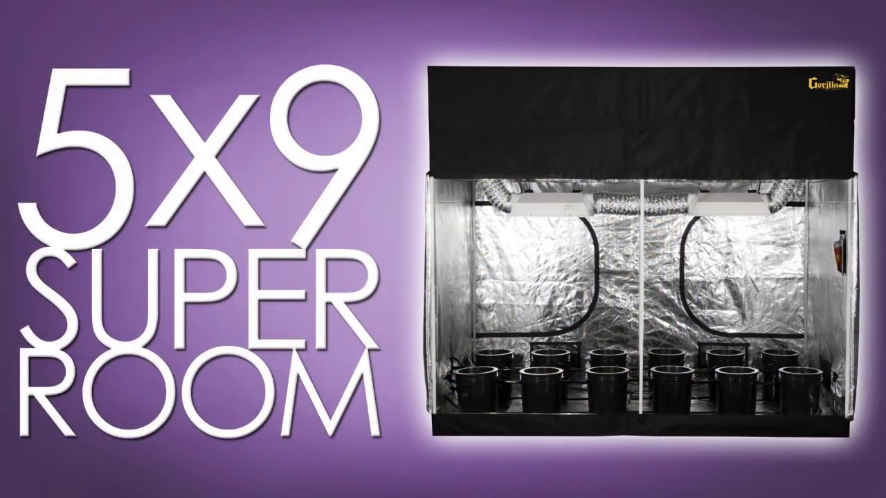 Best Grow Room Setup Design Fully Automated Superroom