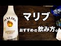 マリブの飲み方。（全7種＋α）【カクテル】