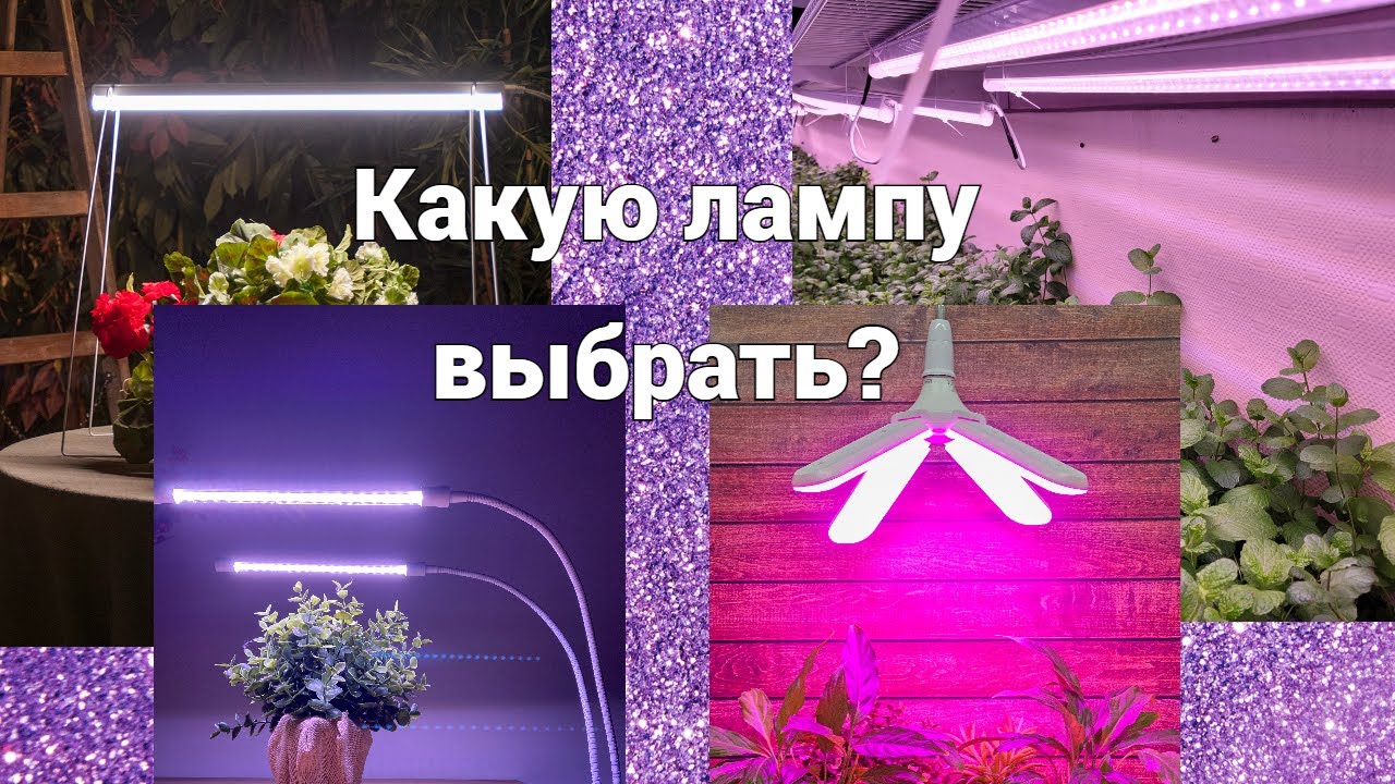 Какие лампы лучше выбрать? фитолампы для рассады, для огорода на окне .