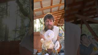 Sofa King Socksy Hangs W Elvis Pressley And Dyes Socks. Sofa King Socksy