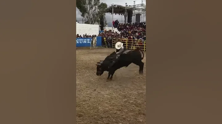 Alfredo Suarez Vs El Caballero de la Noche