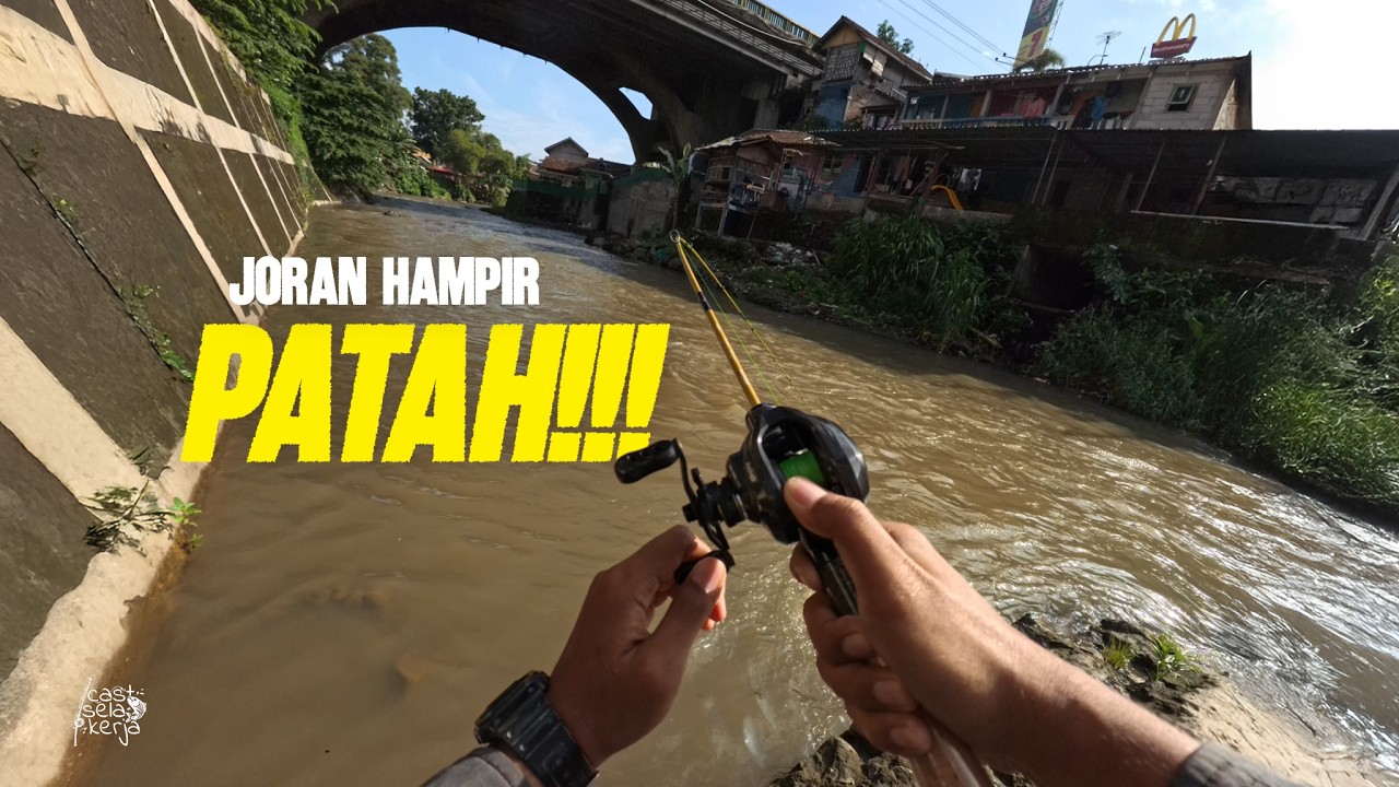 Akhirnya Tertangkap Juga Hampala Penghuni Bawah Jembatan 🤠