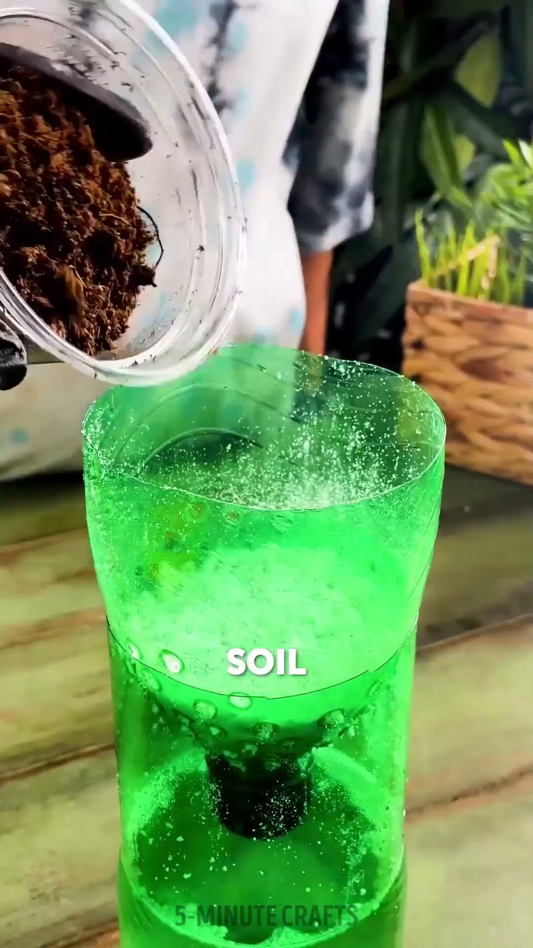 Plastic bottle for planting greenies at home ? #shorts #planting #garden #diy