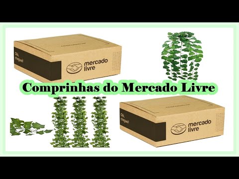 Vídeo: Hoya (89 Fotos): Tratamento De Flores Em Ambientes Internos, Em Casa. Descrição De Hera Cera, Lacunose, Multiflora E Outras Espécies De Plantas