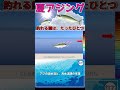 【夏アジング】アジの適水温と、高水温期の生理