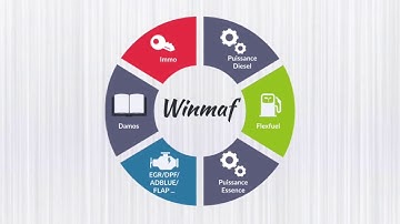 Winmaf  - FLEXFUEL MED9 1
