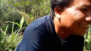 mencari kayu bakar buat masak liwet jangan lupa subscribe (Padepokan channel)
