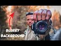 50mm f/1.8 lens - Good for outdoor photography? | Woodland and Landscape